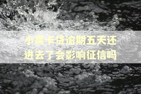 小赢卡贷逾期五天还进去了会影响征信吗