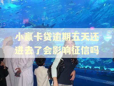小赢卡贷逾期五天还进去了会影响征信吗