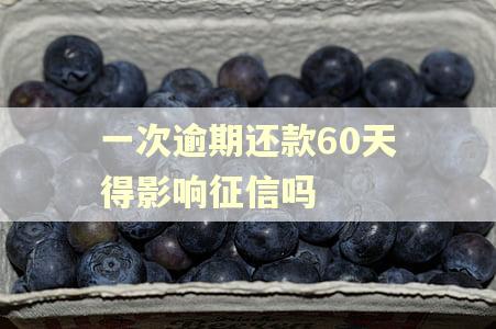 一次逾期还款60天得影响征信吗