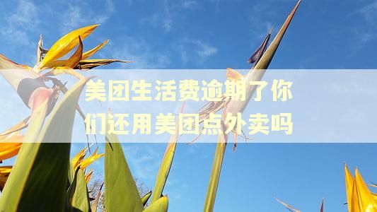 美团生活费逾期了你们还用美团点外卖吗