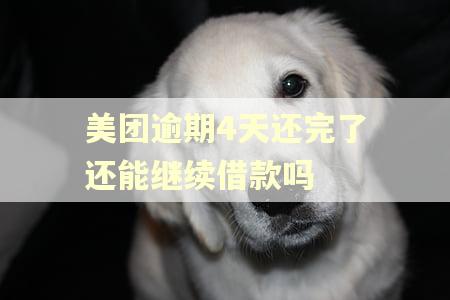 美团逾期4天还完了还能继续借款吗