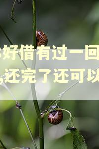 58好借有过一回逾期,还完了还可以借吗