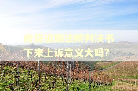 房贷逾期法院判决书下来上诉意义大吗?
