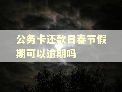 公务卡还款日春节假期可以逾期吗 公务卡还款日春节假期可以逾期吗