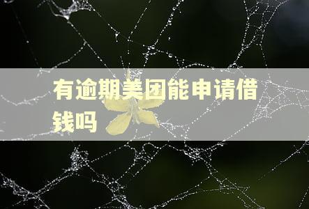 有逾期美团能申请借钱吗