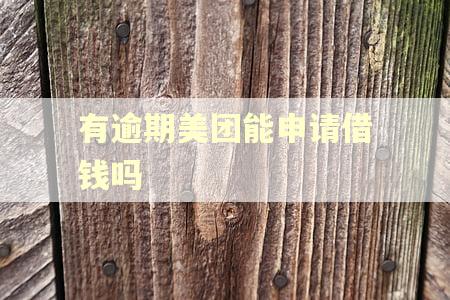 有逾期美团能申请借钱吗 有逾期美团能申请借钱吗