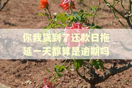 你我贷到了还款日拖延一天都算是逾期吗 你我贷到了还款日拖延一天都算是逾期吗