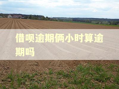 借呗逾期俩小时算逾期吗