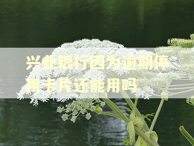 兴业银行因为逾期停用卡片还能用吗