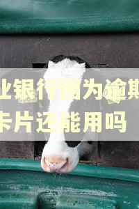 兴业银行因为逾期停用卡片还能用吗 兴业银行因为逾期停用卡片还能用吗