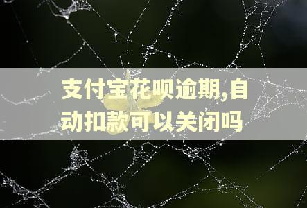 支付宝花呗逾期,自动扣款可以关闭吗