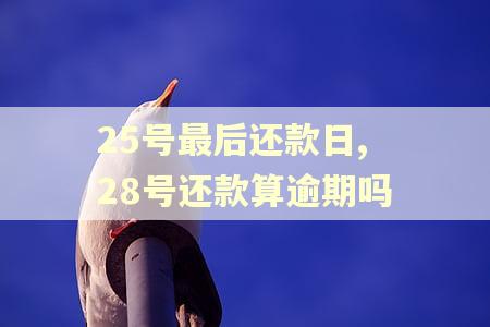 25号最后还款日,28号还款算逾期吗
