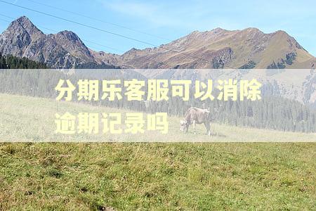 分期乐客服可以消除逾期记录吗 分期乐客服可以消除逾期记录吗