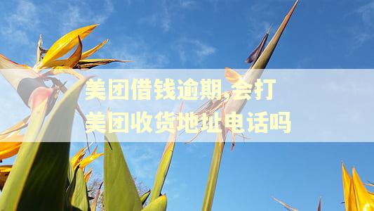 美团借钱逾期,会打美团收货地址电话吗
