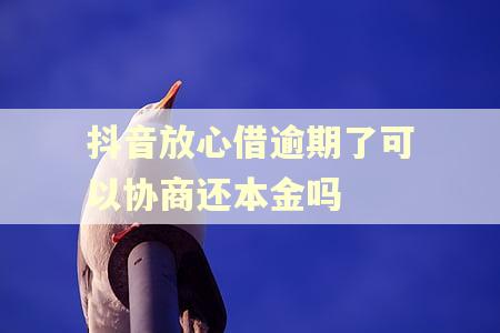 抖音放心借逾期了可以协商还本金吗