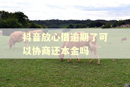 抖音放心借逾期了可以协商还本金吗