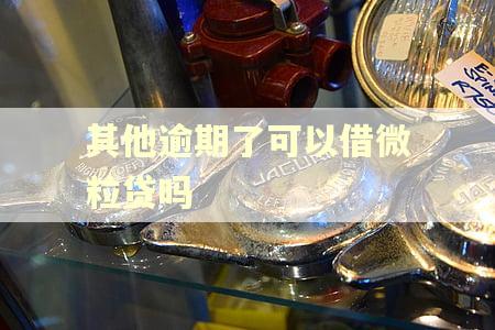 其他逾期了可以借微粒贷吗