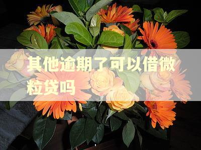 其他逾期了可以借微粒贷吗