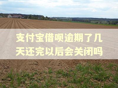 支付宝借呗逾期了几天还完以后会关闭吗