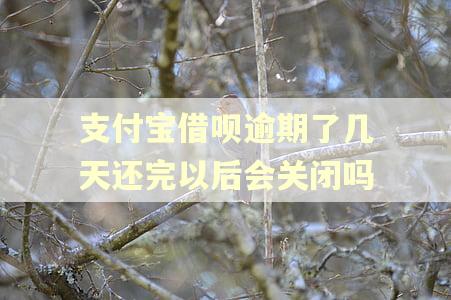 支付宝借呗逾期了几天还完以后会关闭吗