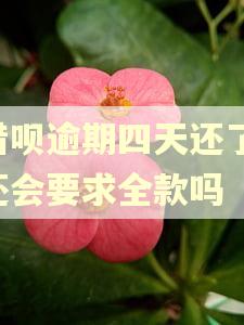 借呗逾期四天还了,还会要求全款吗