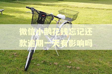 微信小鹅花钱忘记还款逾期一天有影响吗