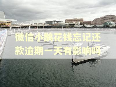 微信小鹅花钱忘记还款逾期一天有影响吗