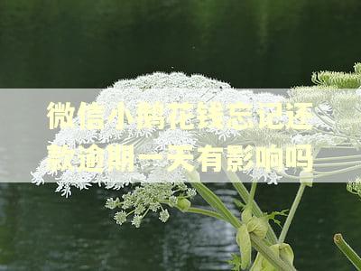 微信小鹅花钱忘记还款逾期一天有影响吗 微信小鹅花钱忘记还款逾期一天有影响吗