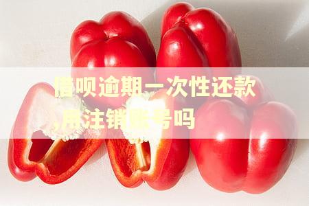 借呗逾期一次性还款,用注销账号吗