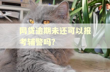 网贷逾期未还可以报考辅警吗?