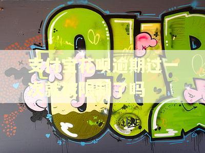 支付宝花呗逾期过一次就被限制了吗 支付宝花呗逾期过一次就被限制了吗