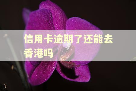 信用卡逾期了还能去香港吗