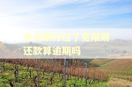 光大银行过了宽限期还款算逾期吗