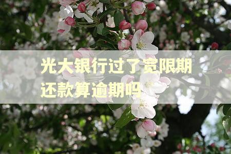 光大银行过了宽限期还款算逾期吗