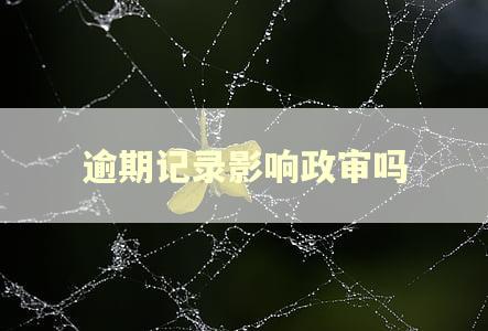 逾期记录影响政审吗