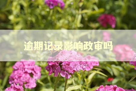 逾期记录影响政审吗