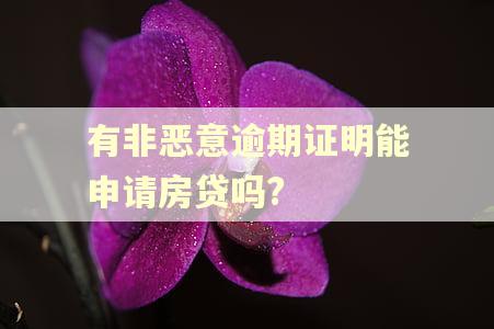 有非恶意逾期证明能申请房贷吗?