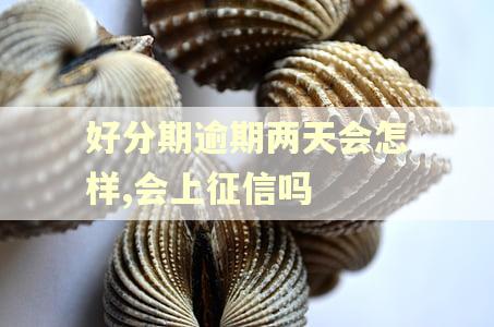好分期逾期两天会怎样,会上征信吗