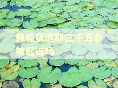 微粒贷逾期三千五会被起诉吗