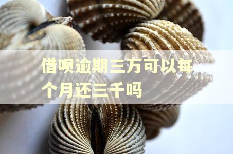 借呗逾期三万可以每个月还三千吗