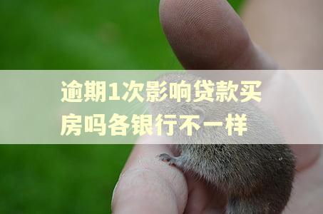 逾期1次影响贷款买房吗各银行不一样