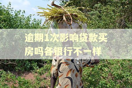 逾期1次影响贷款买房吗各银行不一样 逾期1次影响贷款买房吗各银行不一样
