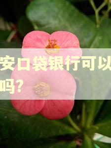 平安口袋银行可以逾期吗?