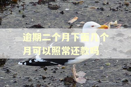 逾期二个月下面几个月可以照常还款吗