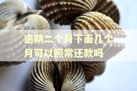 逾期二个月下面几个月可以照常还款吗