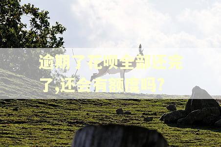 逾期了花呗全部还完了,还会有额度吗?