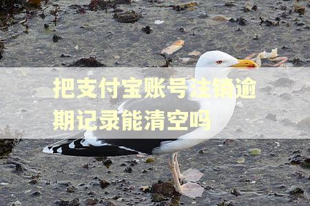 把支付宝账号注销逾期记录能清空吗