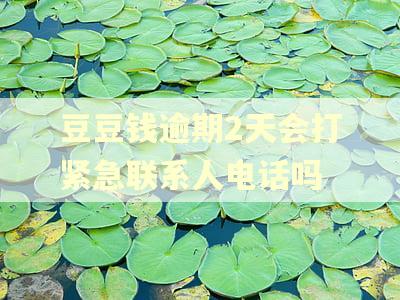 豆豆钱逾期2天会打紧急联系人电话吗