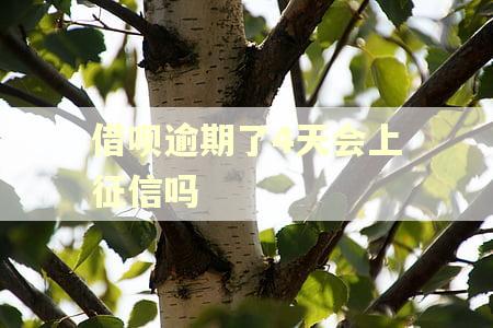 借呗逾期了4天会上征信吗