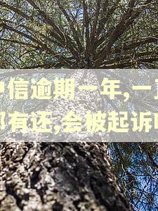 中信逾期一年,一直都有还,会被起诉吗 中信逾期一年,一直都有还,会被起诉吗